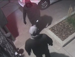 (Salt Lake City Police Department) Detectives are asking the public to help identify two men who police say broke into a liquor store in November and stole thousands of dollars worth of liquor and wine.