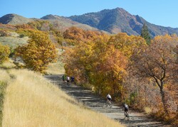 (Chris Samuels | The Salt Lake Tribune) People recreate in City Creek Canyon in Salt Lake City, Friday, Oct. 20, 2023.